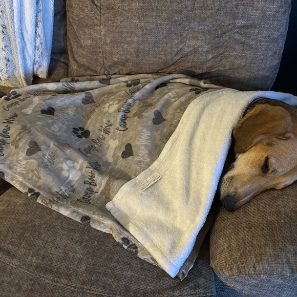 Meet your Posher, Lisa - Picture 11 of 12